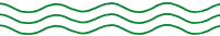 underline-wave-green underline-wave-green